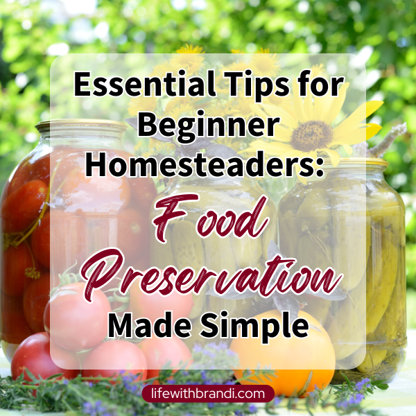 Essential Tips for Beginner Homesteaders: Food Preservation Made Simple